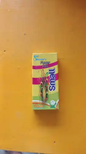 FLOWER POTS